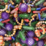 Paulina Ortiz, nutricionista: «La microbiota responde a tus emociones, a lo que comes y hasta a cómo duermes