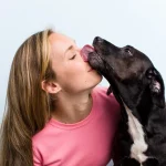 El gesto de tu perro que llevas años malinterpretando: cuando te lame, puede estar pidiendo ayuda y así debes reaccionar