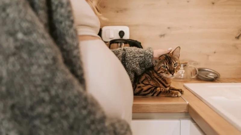 Baja maternal y paternal