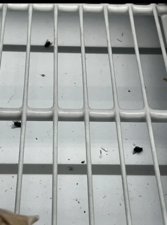 La higiene se tambalea en Aldi: clientes alertan de insectos en neveras y Sanidad podría imponer multas de hasta 600.000 euros 1 Merca2.es Aldi insectos