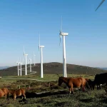 Endesa, la compañía que más ha contribuido a la reducción de emisiones de efecto invernadero de España en los últimos 10 años