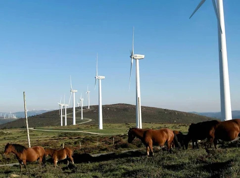 Aerogeneradores Falodir. Fuente: Endesa