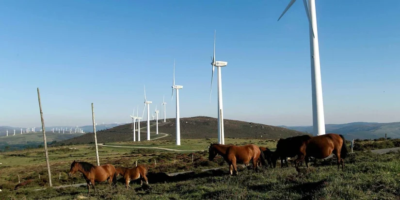 aerogeneradores faladoira caballos Merca2.es