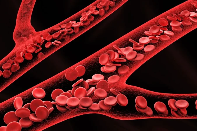 Tu rutina de 3 minutos al despertar: el ejercicio matutino que protege tus arterias 3 Merca2.es arterias002 Merca2.es