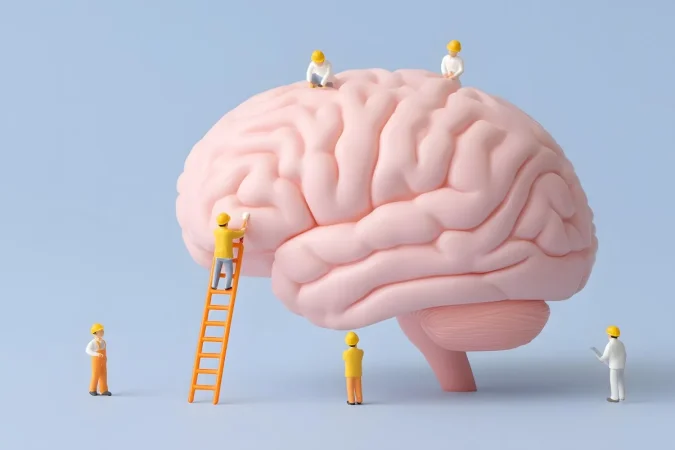 cerebro es super energetico215 Merca2.es