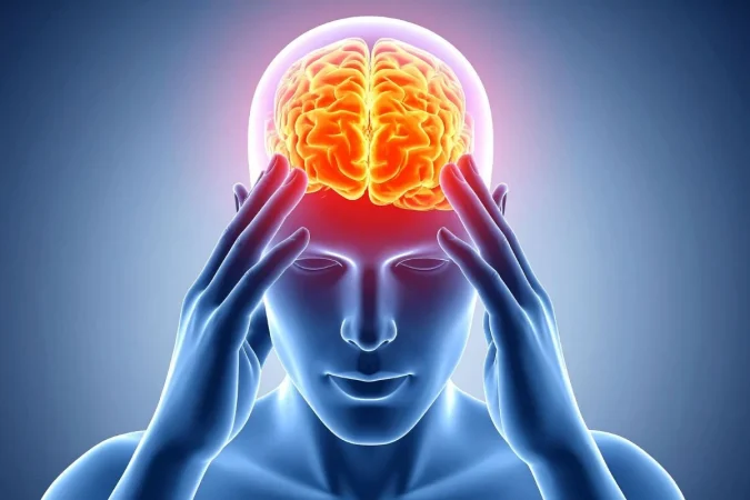 Dra. Elena Muñoz Marrón, neuropsicóloga: "Las técnicas de neuromodulación pueden reactivar áreas clave del cerebro" 1 Merca2.es cerebro