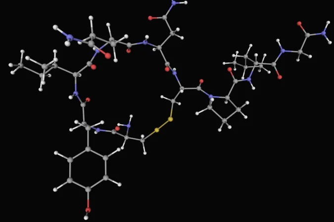 Dra. Elena Muñoz Marrón, neuropsicóloga: "Las técnicas de neuromodulación pueden reactivar áreas clave del cerebro" 3 Merca2.es cerebro3365 Merca2.es