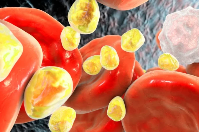 colesterol654 Merca2.es