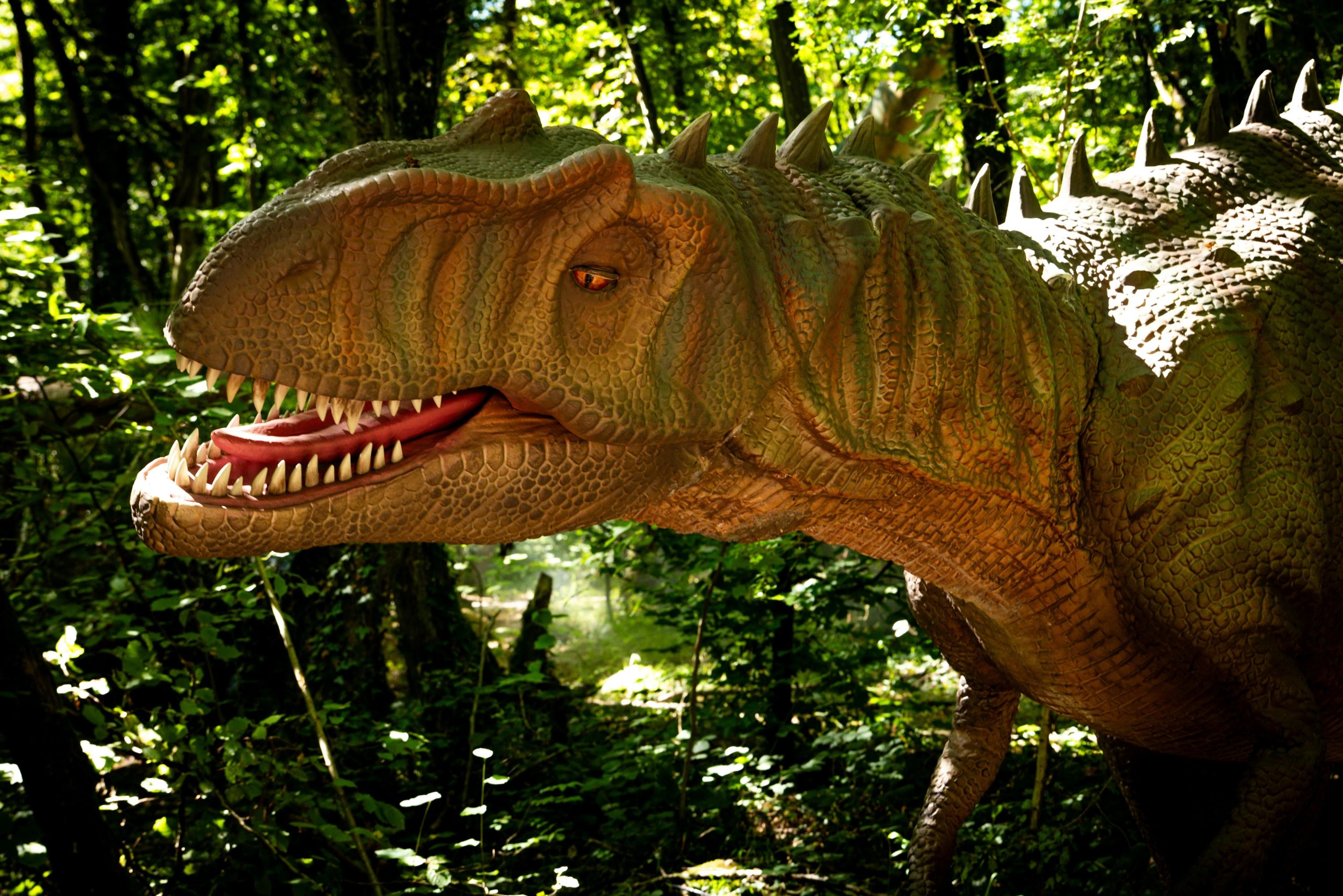 El Bosque Encantado abre DINOLANDIA MADRID el 28 de marzo: una experiencia entre dinosaurios para familias 1 Merca2.es El Bosque Encantado abre DINOLANDIA MADRID el 28 de marzo: una experiencia entre dinosaurios para familias