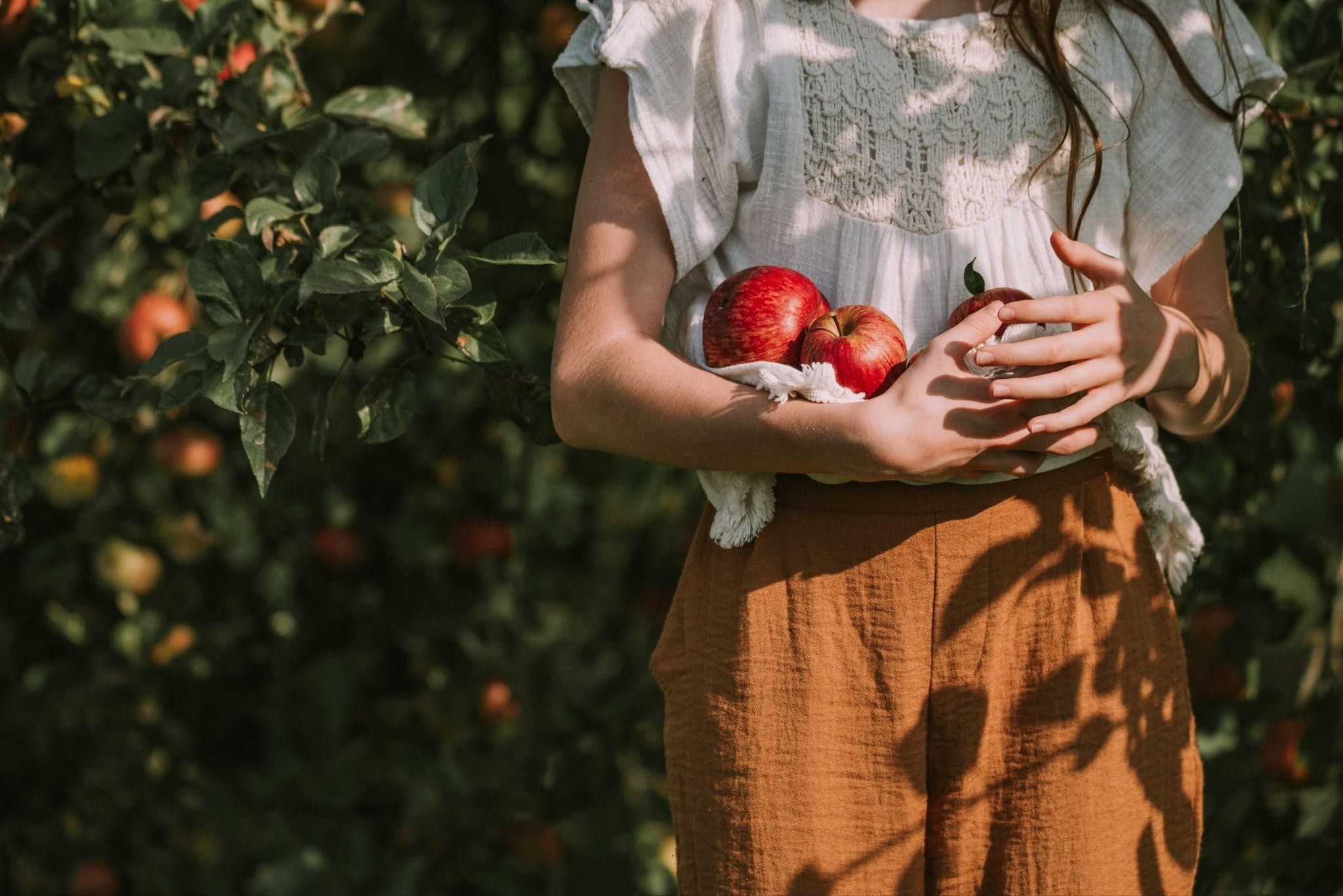 Mak Food Company cierra 2025 con un crecimiento sólido, expansión internacional y estabilidad 1 Merca2.es makfood Merca2.es