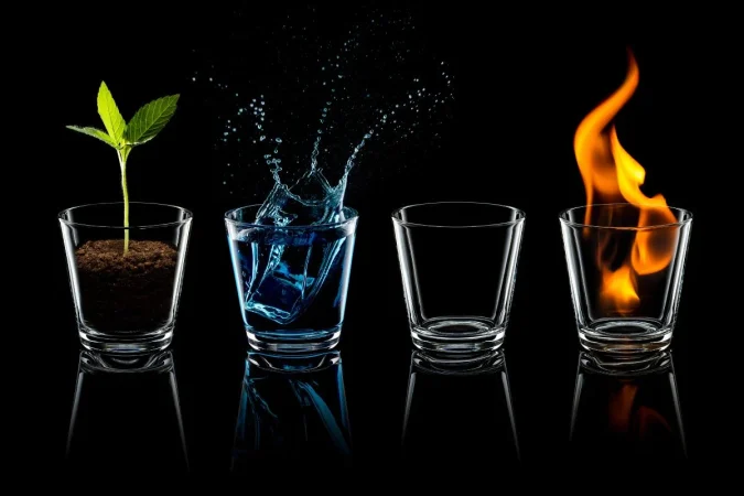 El misterio del reloj de los órganos: por qué tu rendimiento mental máximo ocurre antes del mediodía 2 Merca2.es organos014 Merca2.es