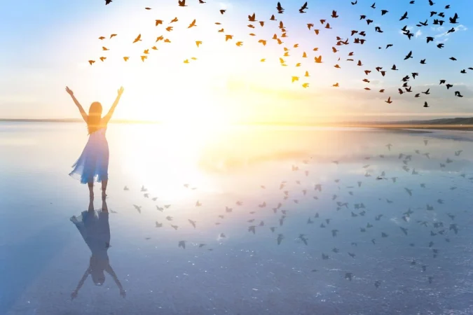 sistema2015 Merca2.es