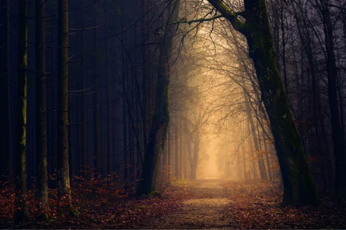 Dr. Juan José López Martínez, médico e investigador de la consciencia: “Allí no hay tiempo, no hay prisa, no hay miedo… hay una claridad absoluta de quién eres realmente" 3 Merca2.es tiempo325 Merca2.es