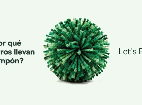 Skoda Nueva etapa de marca