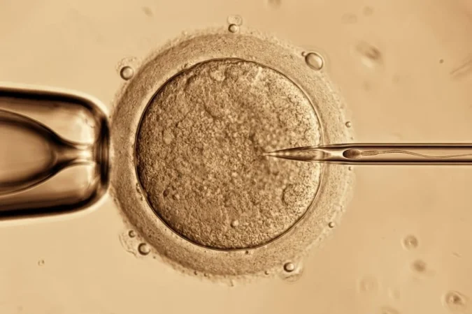 mejor sera el vinculo1 Merca2.es