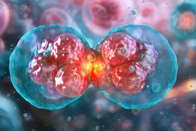 mejor sera el vinculo2 Merca2.es