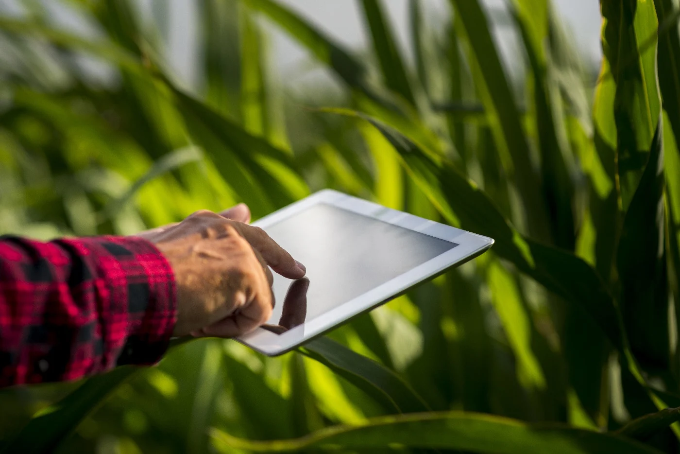 Agricultura y tecnología Agricultura y tecnología