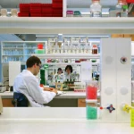 AstraZeneca: los márgenes del cuarto trimestre no alcanzan las expectativas 1 Merca2 AstraZeneca: los márgenes del cuarto trimestre no alcanzan las expectativas