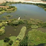 Hasta 85 especies amenazadas encuentran refugio en los humedales recuperados por Fundación Moeve 10 Merca2 Hasta 85 especies amenazadas encuentran refugio en los humedales recuperados por Fundación Moeve