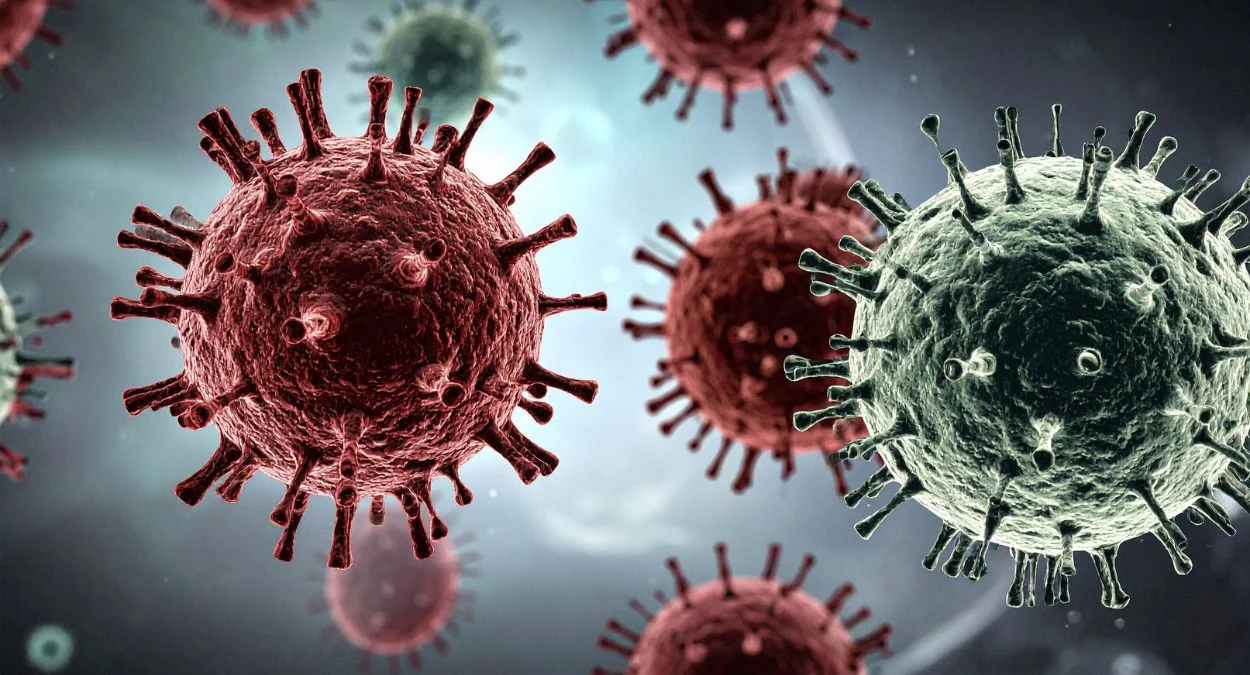 Identifican una diana terapéutica para frenar la replicación de los coronavirus