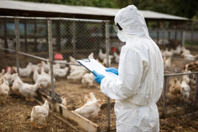 Gripe aviar vigilancia3 Merca2.es
