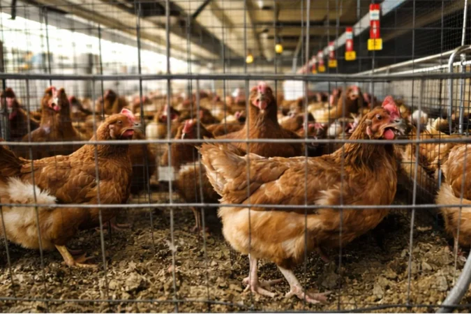 La OCU lanza una advertencia3 Merca2.es