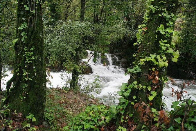 Tornavacas,Garganta de San Martín. Valle del Jerte