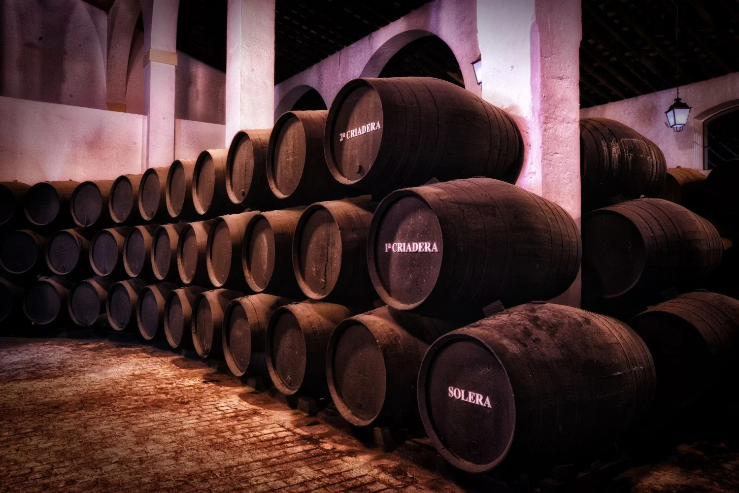 Bodega Museo La Olmilla