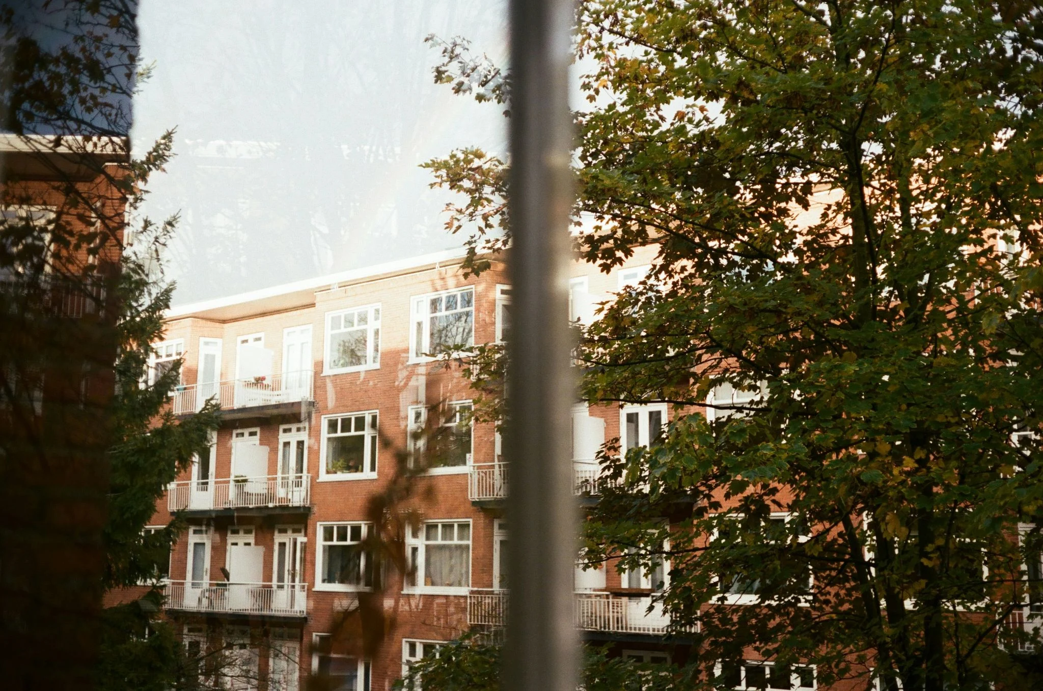 Banco de España vivienda