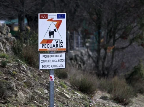 Via pecuaria