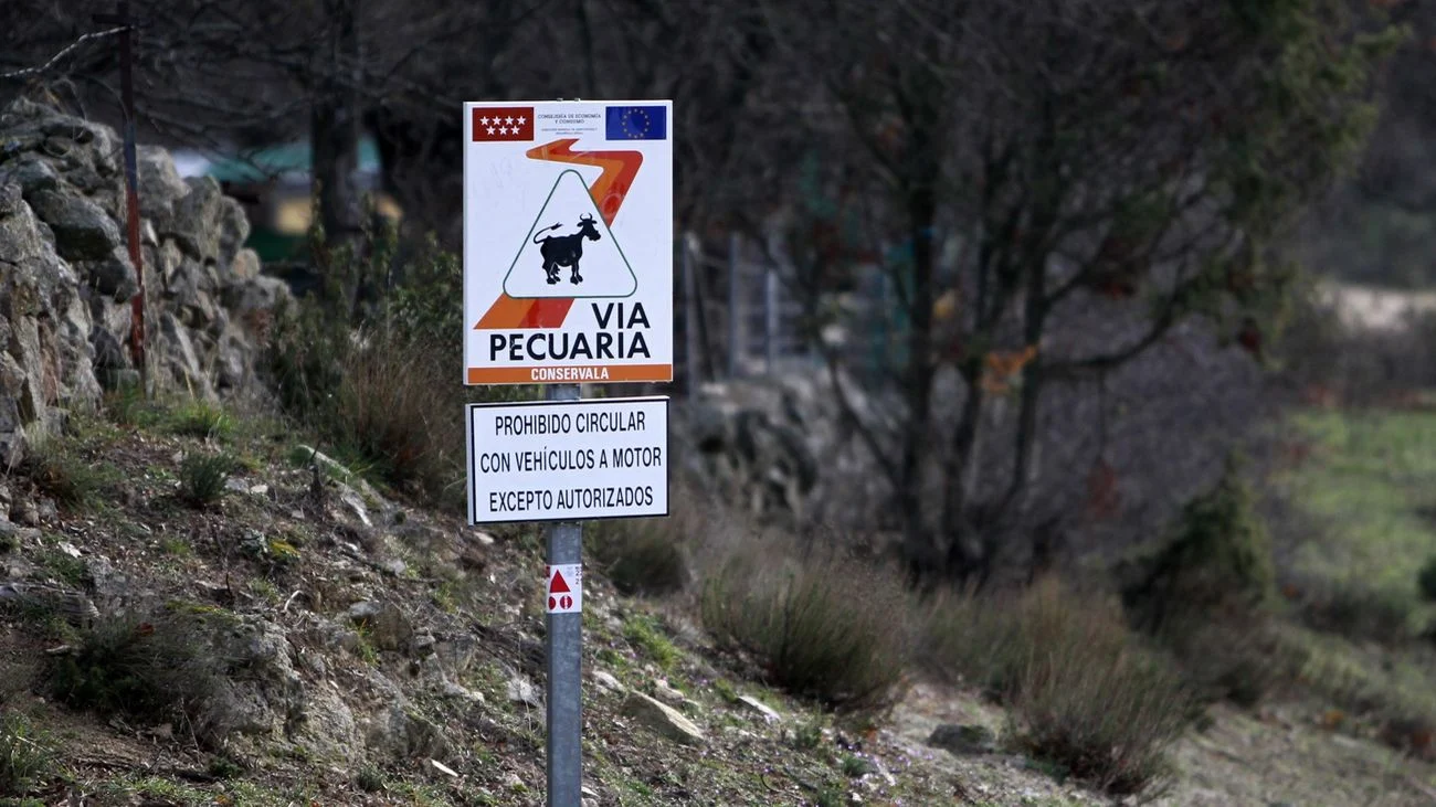 Via pecuaria