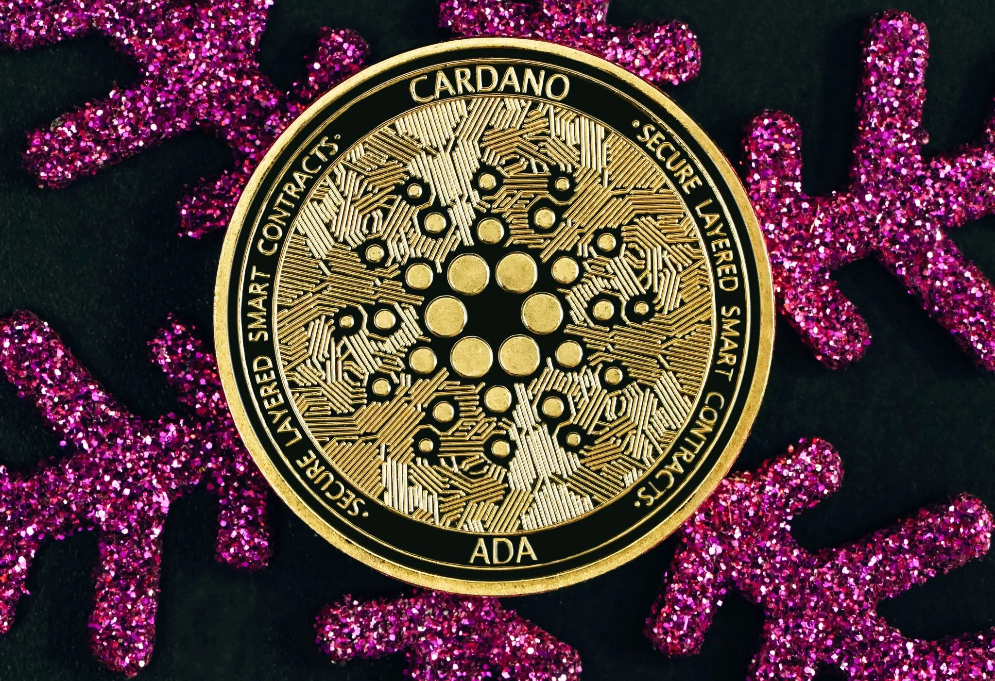 Cardano hard fork 29 mayo