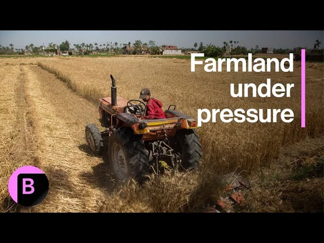guerra Irán fertilizantes África