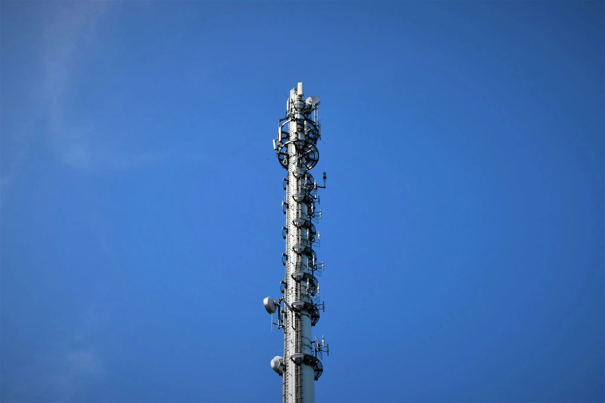 MasOrange y Vodafone pierden 250.000 líneas frente a Digi