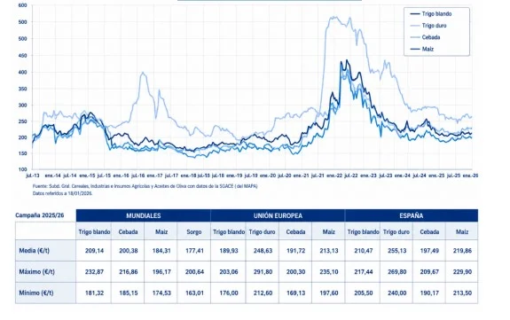 Evolución de los precios medios de los cereales en España
(euros/tonelada)
Campañas 2010/11-2025/26
