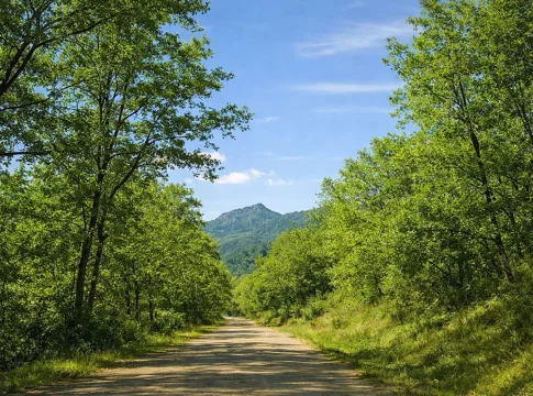 El valle secreto de Madrid que se ha convertido en el nuevo paraíso rural para desconectar del estrés de la capital El valle secreto de Madrid que se ha convertido en el nuevo paraíso rural para desconectar del estrés de la capital