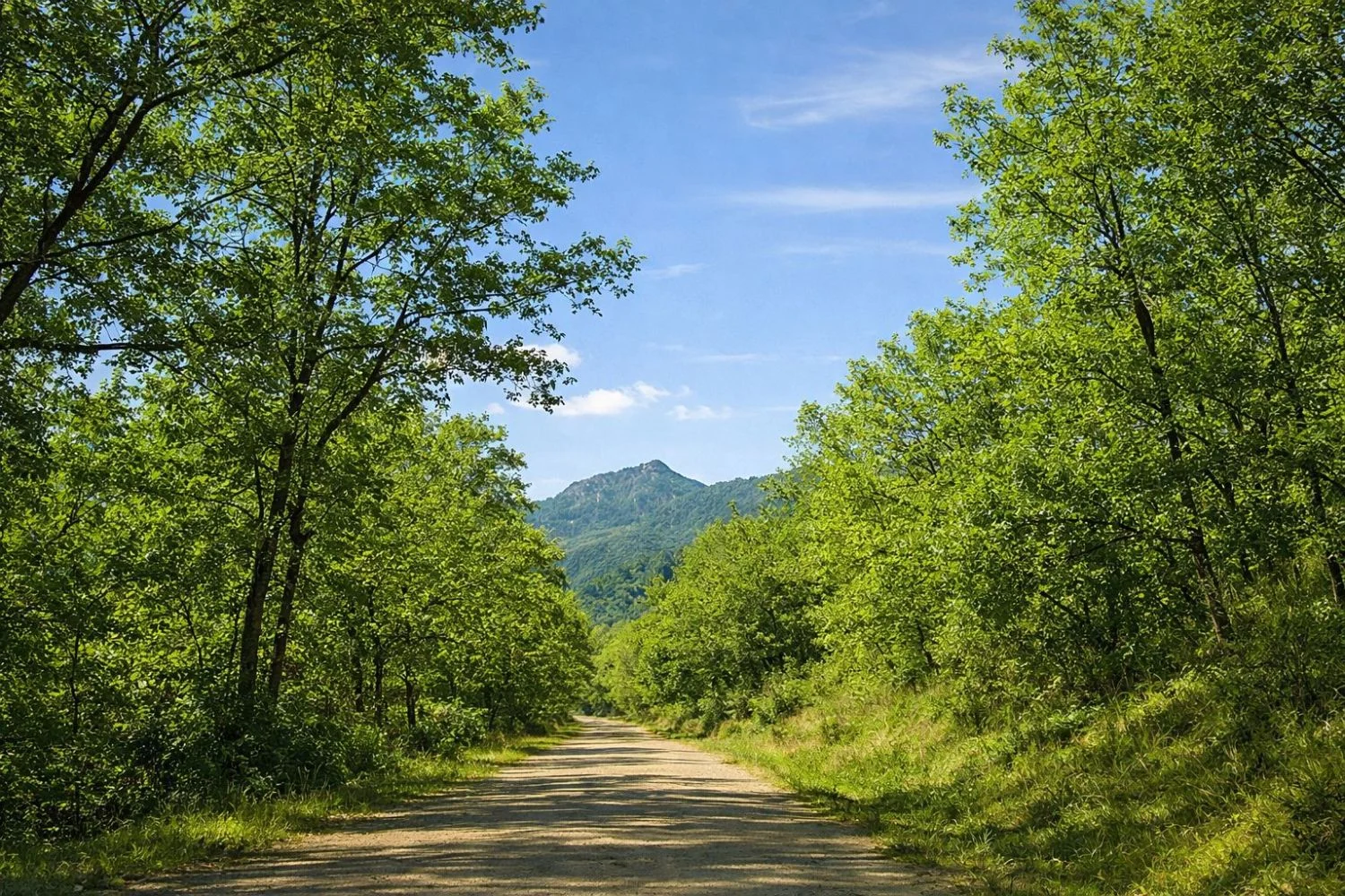 El valle secreto de Madrid que se ha convertido en el nuevo paraíso rural para desconectar del estrés de la capital El valle secreto de Madrid que se ha convertido en el nuevo paraíso rural para desconectar del estrés de la capital