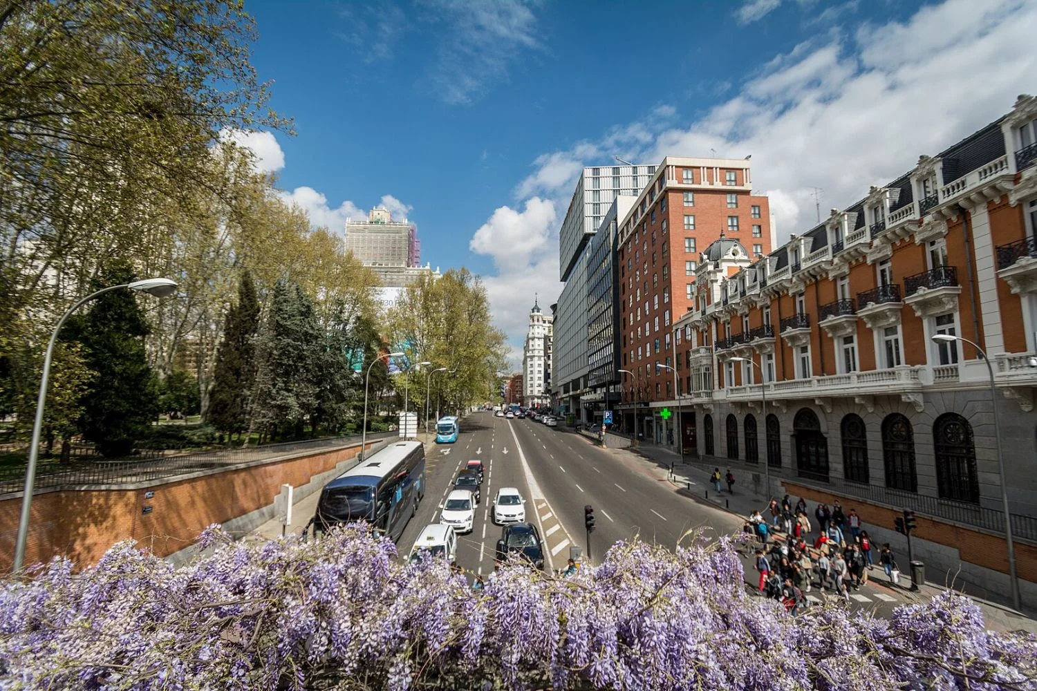 El cine de verano gratis de Madrid ya ha arrancado y muchos no lo saben todavía