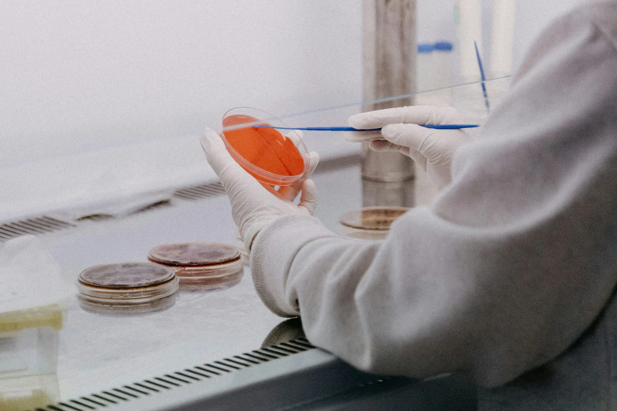 ¿Adiós a las suturas? Un adhesivo del CSIC, inspirado en mejillones, logra cerrar heridas bajo el agua 1 Merca2 hidrogel bioadhesivo