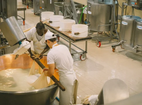 agentes-ia-negocios-petaluma-creamery-portada Agentes IA negocios