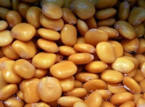 altramuz
