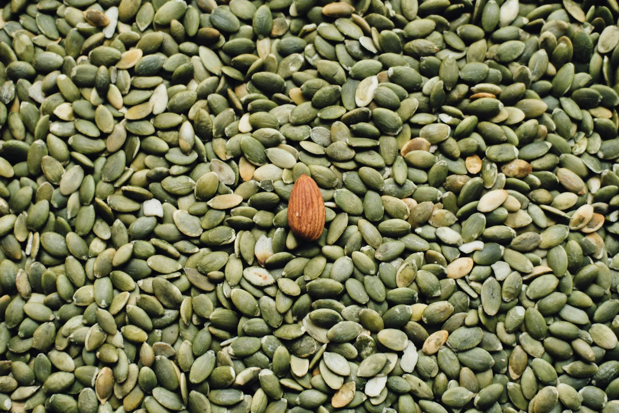 Altramuz superalimento: cómo el lupino suizo optimiza tu composición corporal con proteína y fibra 1 Merca2 lupin beneficios