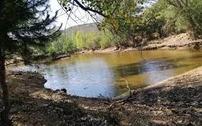 La restauración fluvial Europa bate récords: 603 barreras retiradas en 2025 reconectan 3.740 km de ríos