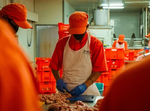grupo-fuertes-compra-tolvasa-pollo-portada Grupo Fuertes compra Tolvasa pollo