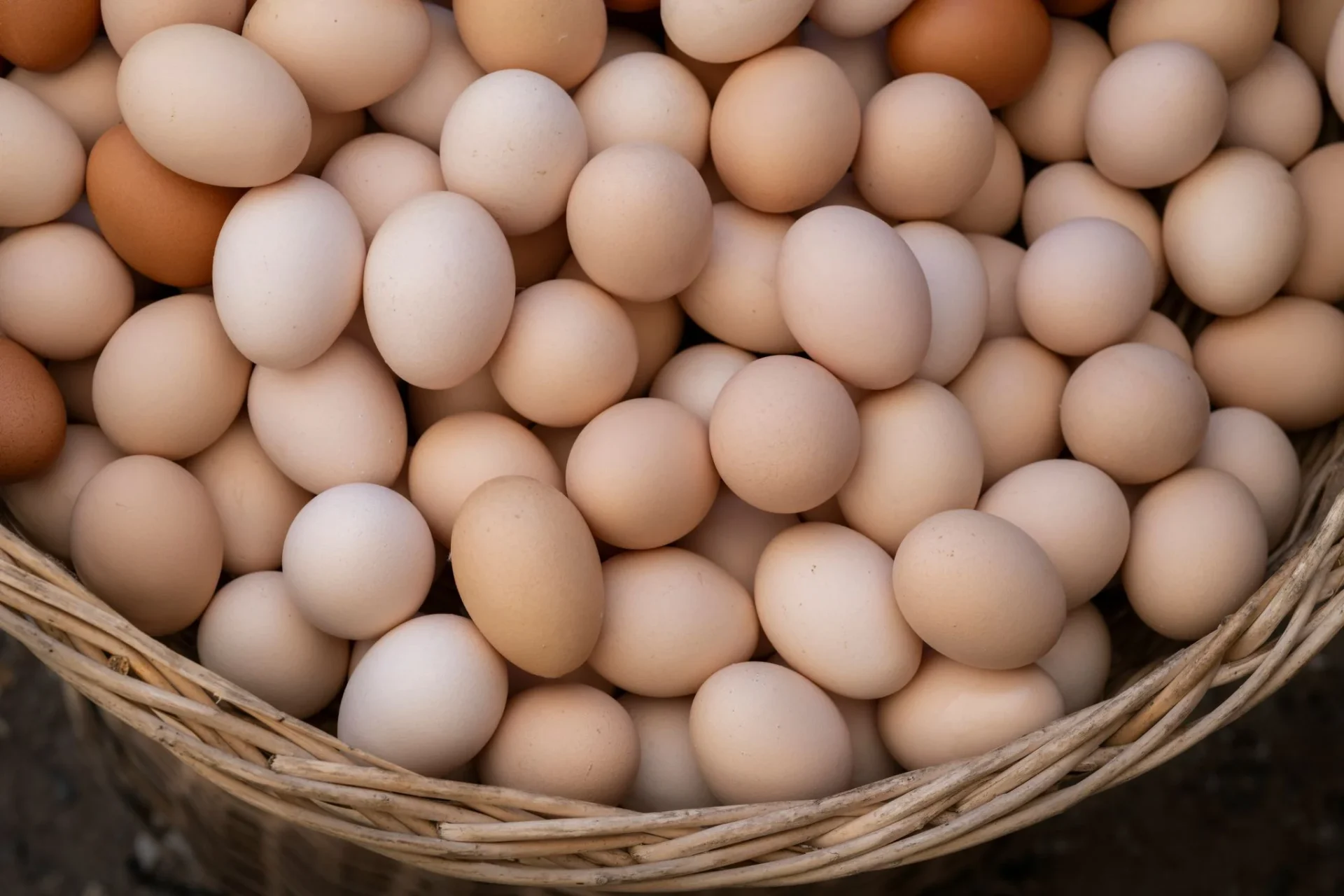 huevo-proteina-barata-calidad-huevos-proteina-econ-1 huevos proteína económica