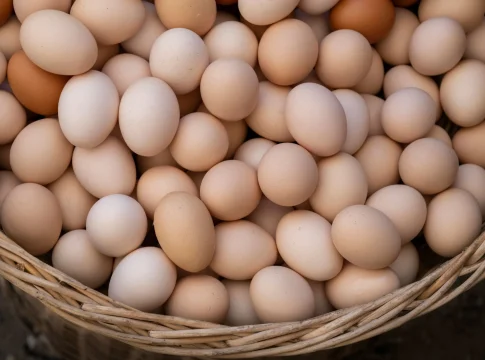 huevo-proteina-barata-calidad-huevos-proteina-econ-1 huevos proteína económica