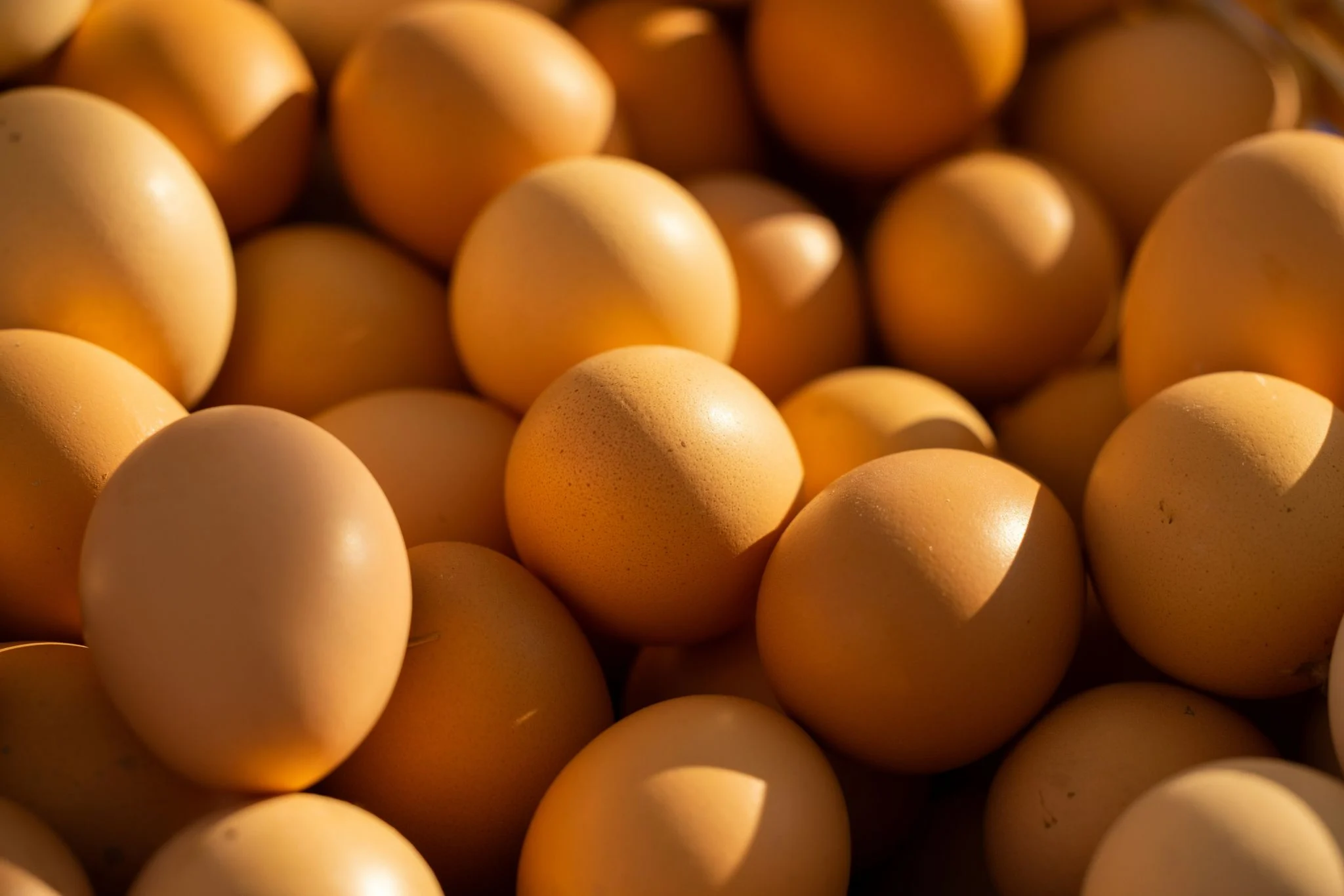 Alimentos para el cerebro: cómo cocinarlos para potenciar la claridad mental y el foco 1 Merca2 nutrición cognitiva