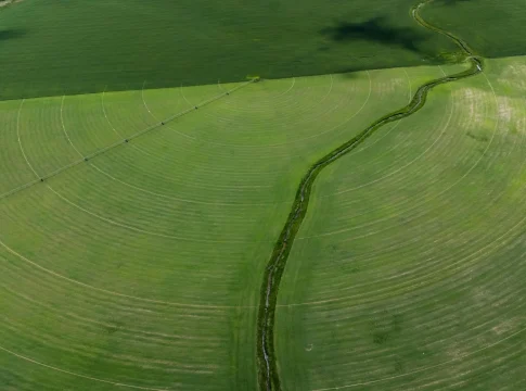 id-agraria-perales-palencia-300-hectare-portada I+D agraria Castilla y León