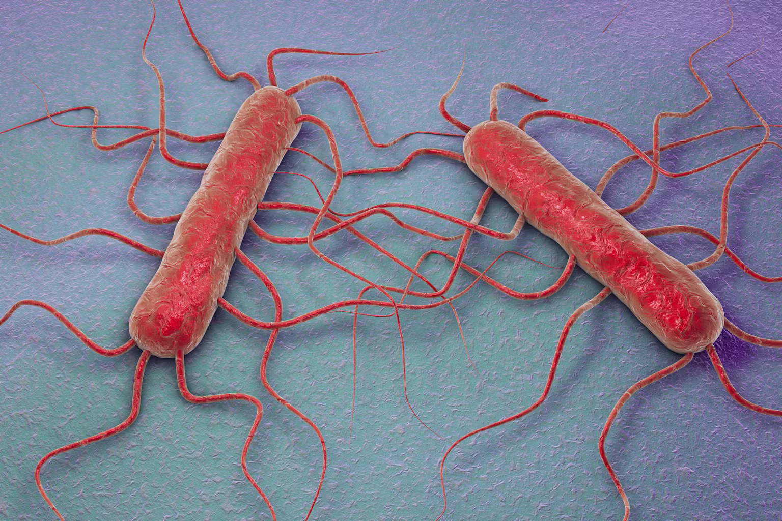 El control de listeria en la UE se endurece: la industria alimentaria afronta nuevos retos de seguridad