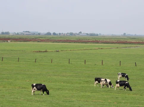 peter-thiel-invierte-220m-halter-vacas-portada Peter Thiel Halter vacas inteligentes
